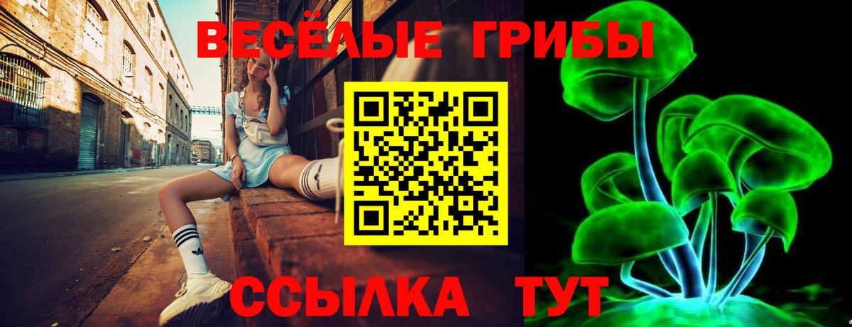 Псилоцибиновые грибы мухоморы Усть-Илимск