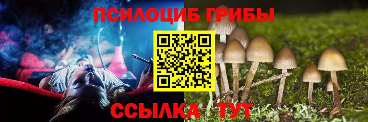 Галлюциногенные грибы мухоморы  Вход с VPN  Усть-Илимск  Галлюциногенные грибы прущие грибы 